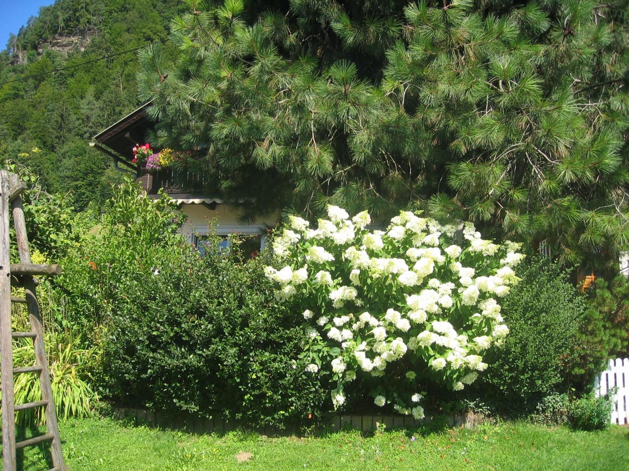 Pension Wolf Steindorf am Ossiacher See Exterior photo